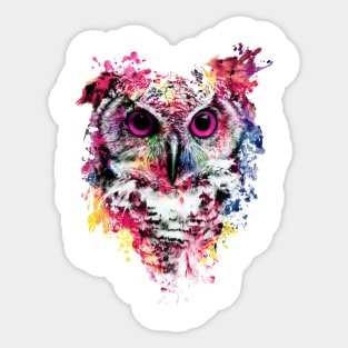 Owl Sticker